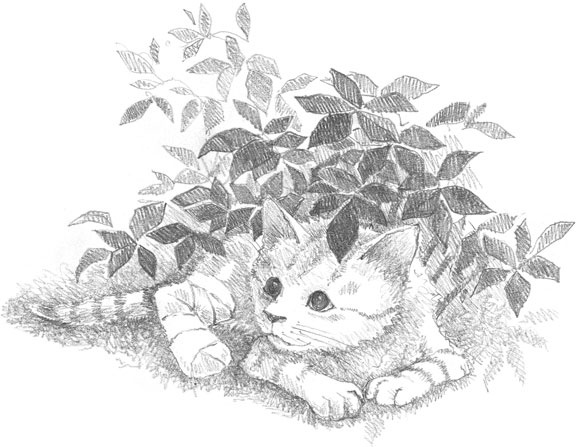 Иллюстрация к книге — Котёнок Сильвер, или Полосатый храбрец [_35.jpg]