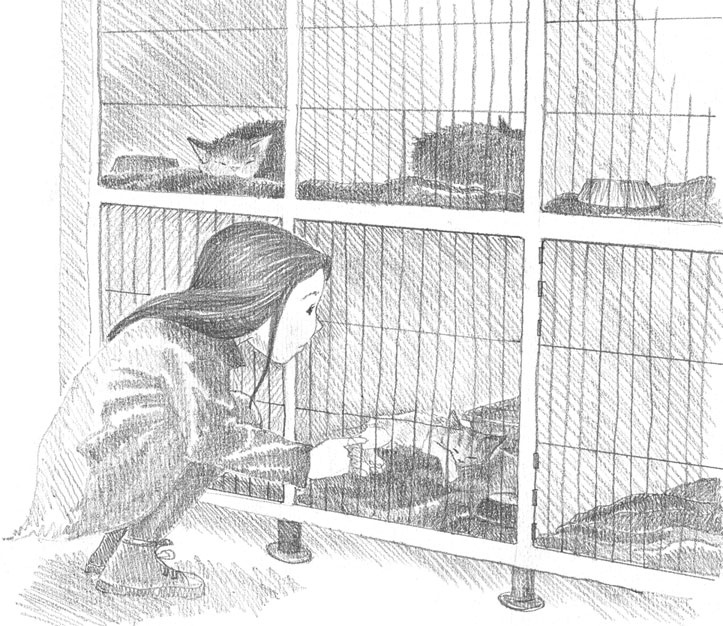 Иллюстрация к книге — Котёнок Сильвер, или Полосатый храбрец [_8.jpg]