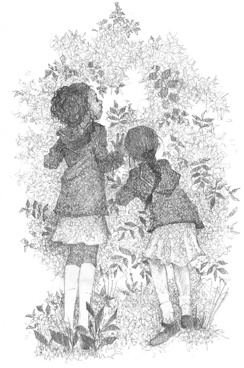 Иллюстрация к книге — Котёнок Веснушка, или Как научиться помогать [i_022.jpg]