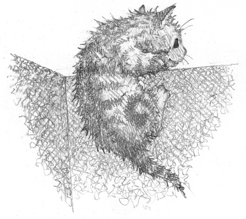 Иллюстрация к книге — Котёнок Веснушка, или Как научиться помогать [i_031.jpg]