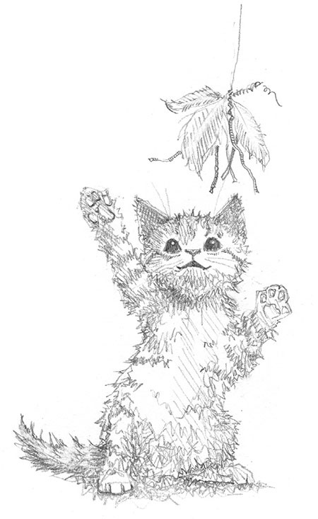 Иллюстрация к книге — Котёнок Веснушка, или Как научиться помогать [i_036.jpg]