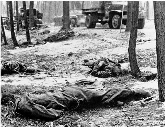 Иллюстрация к книге — Берлин 45-го. Сражение в логове зверя  [i_041.jpg]