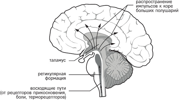 Иллюстрация к книге — Красная таблетка-2. Вся правда об успехе [i_002.jpg]