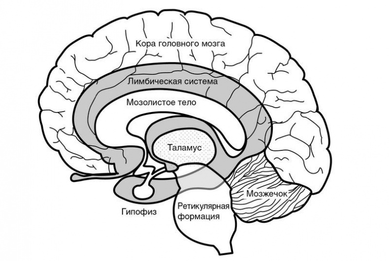 Иллюстрация к книге — Троица. Будь больше самого себя [i_005.jpg]