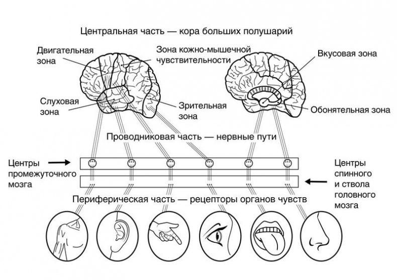 Иллюстрация к книге — Троица. Будь больше самого себя [i_006.jpg]