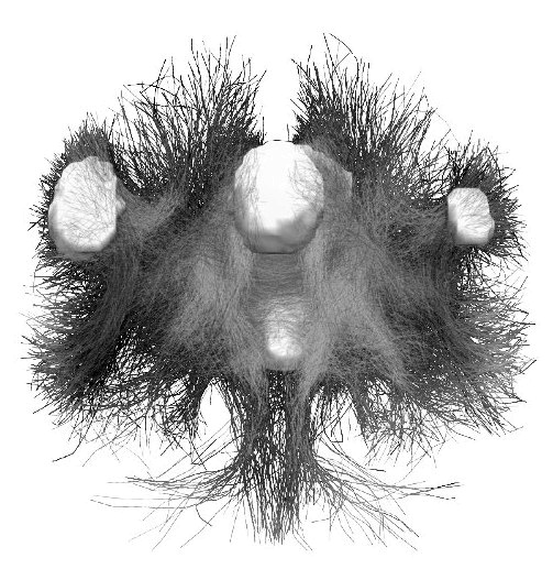 Иллюстрация к книге — Троица. Будь больше самого себя [i_008.jpg]