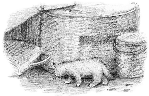 Иллюстрация к книге — Котенок Одуванчик, или Игра в прятки [block_001144104.jpg]