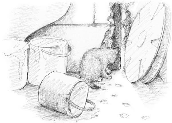 Иллюстрация к книге — Котенок Одуванчик, или Игра в прятки [block_001144116.jpg]