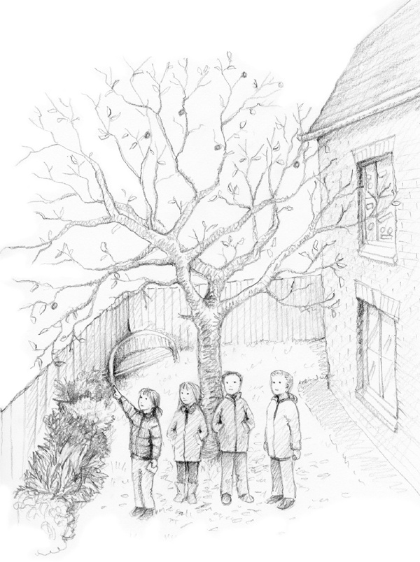 Иллюстрация к книге — Котенок Одуванчик, или Игра в прятки [block_001144127.jpg]