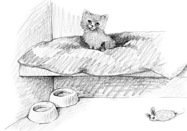 Иллюстрация к книге — Котенок Одуванчик, или Игра в прятки [block_00114426.jpg]