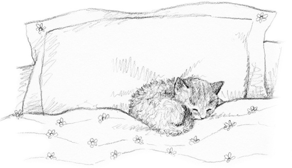 Иллюстрация к книге — Котенок Одуванчик, или Игра в прятки [block_00114443.jpg]