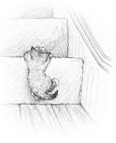 Иллюстрация к книге — Котенок Одуванчик, или Игра в прятки [block_00114447.jpg_0.jpg]