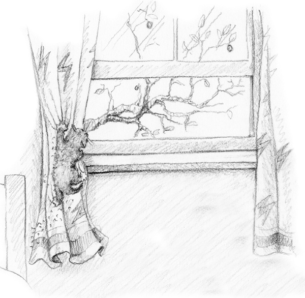 Иллюстрация к книге — Котенок Одуванчик, или Игра в прятки [block_00114492.jpg]