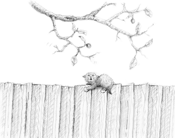 Иллюстрация к книге — Котенок Одуванчик, или Игра в прятки [block_00114495.jpg]