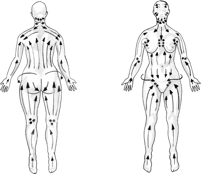 Иллюстрация к книге — Кожа: орган, в котором я живу [i_058.jpg]