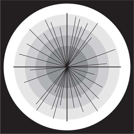 Иллюстрация к книге — Теория всего. Интегральный подход к бизнесу, политике, науке и духовности [i_015.jpg]