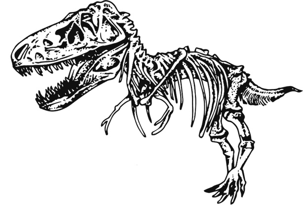 Иллюстрация к книге — Палеонтология антрополога. Книга 1. Докембрий и палеозой [i_007.jpg]