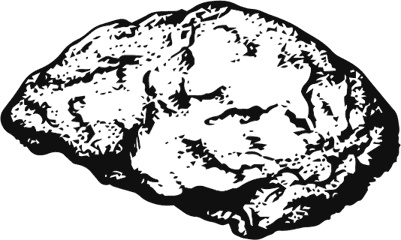 Иллюстрация к книге — Палеонтология антрополога. Книга 1. Докембрий и палеозой [i_009.jpg]