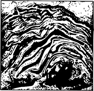 Иллюстрация к книге — Палеонтология антрополога. Книга 1. Докембрий и палеозой [i_017.jpg]