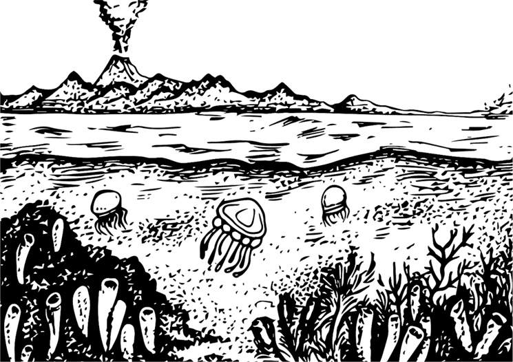 Иллюстрация к книге — Палеонтология антрополога. Книга 1. Докембрий и палеозой [i_018.jpg]