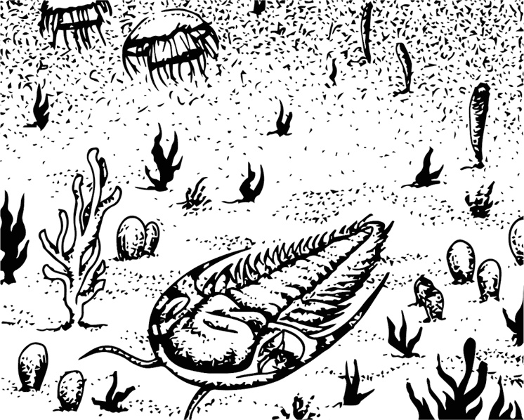 Иллюстрация к книге — Палеонтология антрополога. Книга 1. Докембрий и палеозой [i_024.jpg]