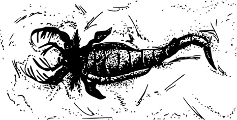 Иллюстрация к книге — Палеонтология антрополога. Книга 1. Докембрий и палеозой [i_055.jpg]