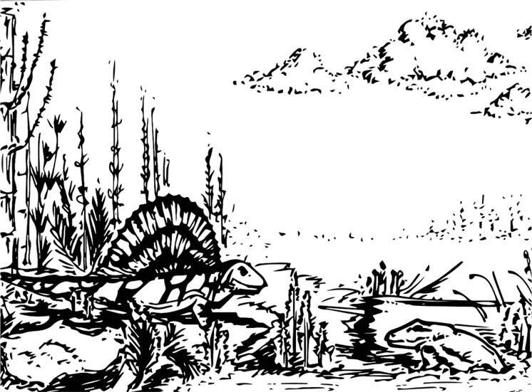 Иллюстрация к книге — Палеонтология антрополога. Книга 1. Докембрий и палеозой [i_066.jpg]