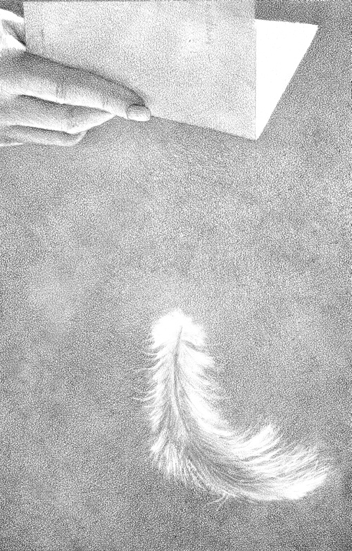 Иллюстрация к книге — Гвенди и ее волшебное перышко [i_007.jpg]