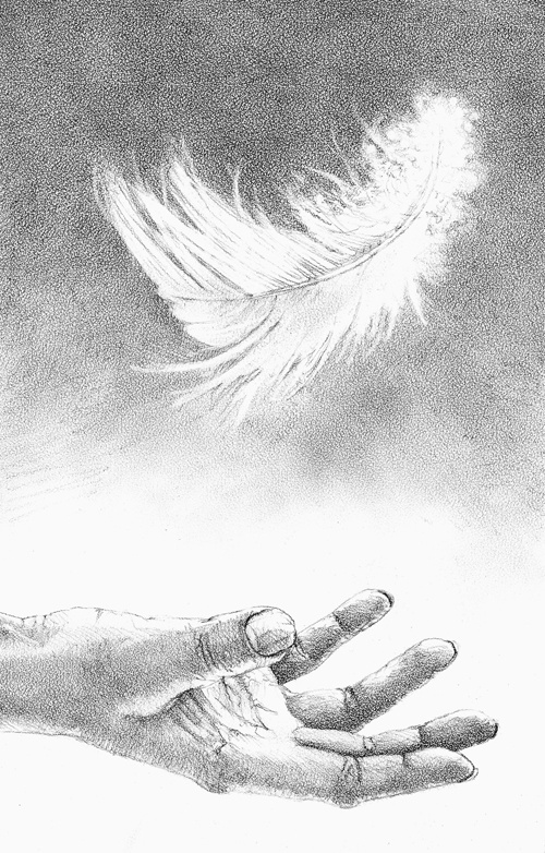 Иллюстрация к книге — Гвенди и ее волшебное перышко [i_008.jpg]