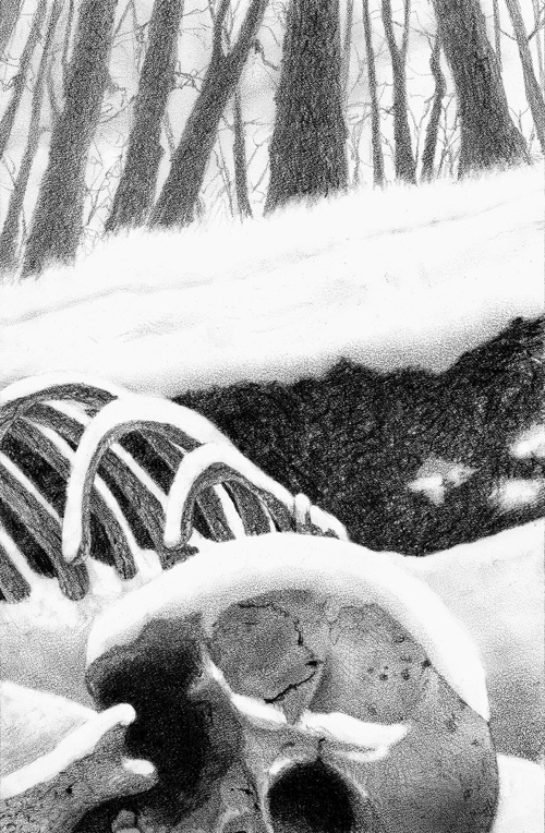 Иллюстрация к книге — Гвенди и ее волшебное перышко [i_010.jpg]