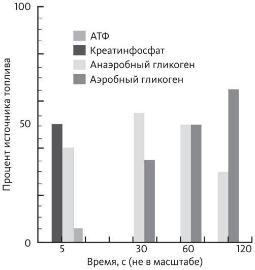 Иллюстрация к книге — Питание в спорте на выносливость. Все, что нужно знать бегуну, пловцу, велосипедисту и триатлету [i_024.jpg]
