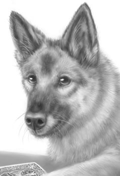 Иллюстрация к книге — Дорога к дому [i_001.jpg]