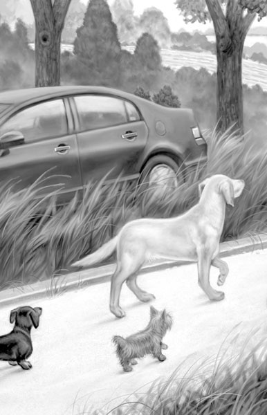 Иллюстрация к книге — Дорога к дому [i_003.jpg]