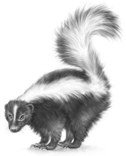 Иллюстрация к книге — Дорога к дому [i_007.jpg]