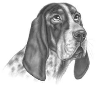 Иллюстрация к книге — Дорога к дому [i_009.jpg]