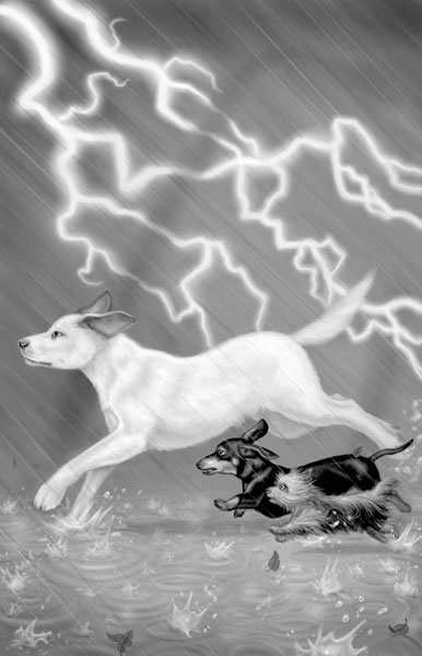 Иллюстрация к книге — Дорога к дому [i_010.jpg]