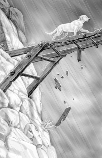 Иллюстрация к книге — Дорога к дому [i_011.jpg]