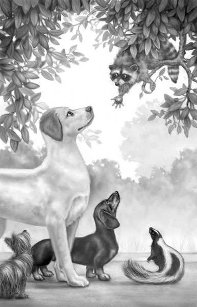 Иллюстрация к книге — Дорога к дому [i_013.jpg]