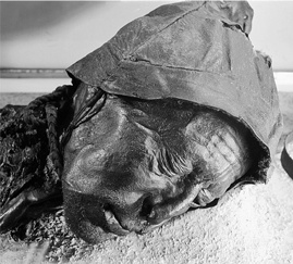 Иллюстрация к книге — Всемирная история в вопросах и ответах [i_017.jpg]