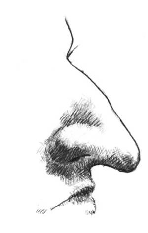 Иллюстрация к книге — Кроха [i_003.jpg]