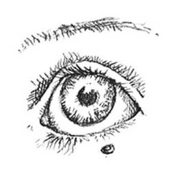 Иллюстрация к книге — Кроха [i_005.jpg]