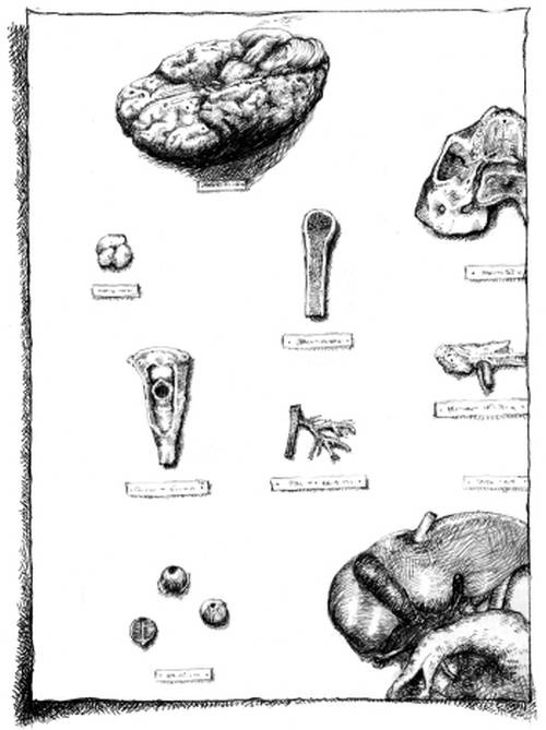 Иллюстрация к книге — Кроха [i_011.jpg]