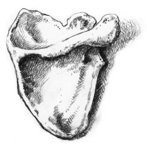 Иллюстрация к книге — Кроха [i_014.jpg]