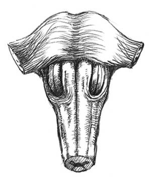 Иллюстрация к книге — Кроха [i_018.jpg]