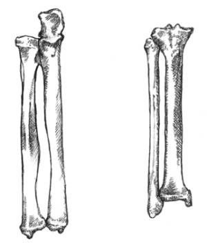 Иллюстрация к книге — Кроха [i_022.jpg]