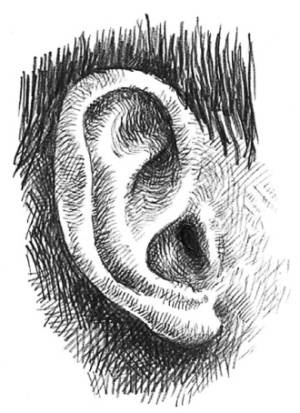 Иллюстрация к книге — Кроха [i_034.jpg]