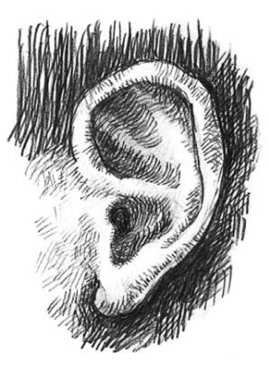 Иллюстрация к книге — Кроха [i_035.jpg]