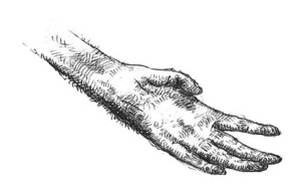 Иллюстрация к книге — Кроха [i_043.jpg]