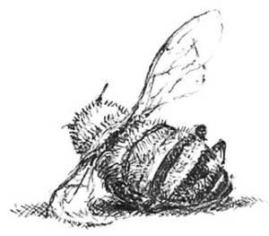 Иллюстрация к книге — Кроха [i_045.jpg]