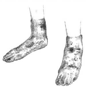 Иллюстрация к книге — Кроха [i_053.jpg]